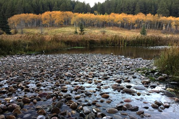 Cypress Hill Loch Lomond Area