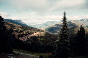 Photo of Washington